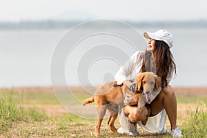 Asian lifestyle woman playing with dog golden retriever friendship so happy and relax