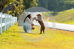 Asian lifestyle woman playing and happy with golden retriever friendship dog in sunrise outdoor