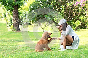 Asian lifestyle woman playing with young golden retriever friendship dog in outdoor