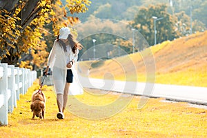 Asian lifestyle woman walking so happy with golden retriever friendship dog