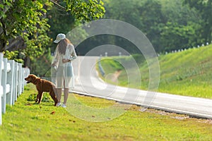 Asian lifestyle woman walking so happy with golden retriever friendship dog near the road