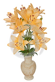 Asian lily flowers, lat. Asiatic Hybrids, in a ceramic vase