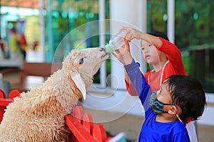 Asian little boy and girl feeding sheep by milk bottle