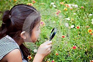 Asian little child girl looking through a magnifying glass