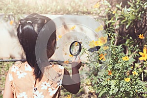 Asian little child girl using magnifying glass watching butterfly