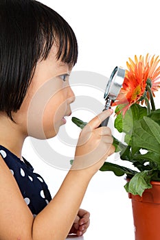 Asian Little Chinese Girl Looking at Flower through a Magnifying