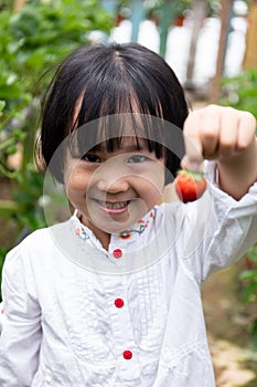 Asian Little Chinese Girl picking fresh strawberry