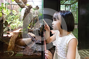 Asian Little Chinese Girl watching insects