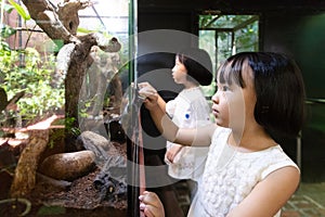 Asian Little Chinese Sisters watching insects