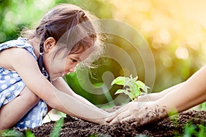 Asian little girl and parent planting young tree on black soil