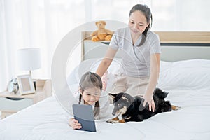 Asian little girl show tablet and make her black Shiba dog interest and stay with mother on white bed. Concept of happy family