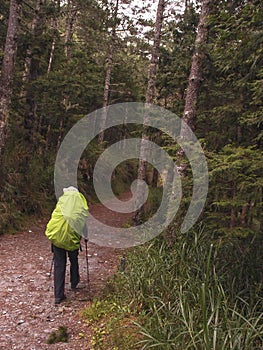 An Asian male carrying a large backpack with fluorescent greens walks in the forest trail