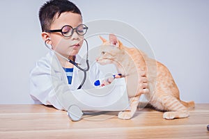 Asian male doctor examining a cat