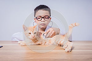 Asian male doctor examining a cat