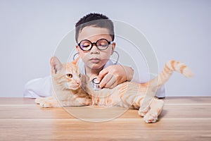 Asian male doctor examining a cat