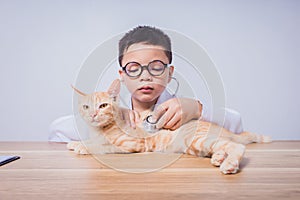 Asian male doctor examining a cat