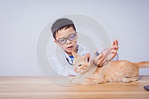 Asian male doctor examining a cat