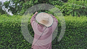 Asian male gardener trimming trees with electric cutter at garden. Modern gardening equipment for work.