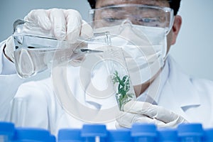 Asian male researcher researching plant specimens in the laboratory