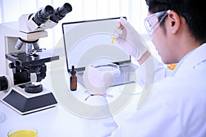 Asian male scientist experiment and adjust specimens in a Petri dish in the laboratory