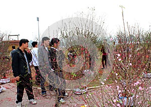 Asian man buying flowers in the market