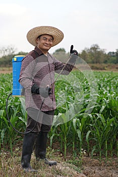 Asian man farmer carries blue sprayer on back to spray organic fertilizers in maize garden.