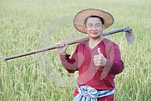 Asian man farmer carry a hoe on shoulder at paddy field.