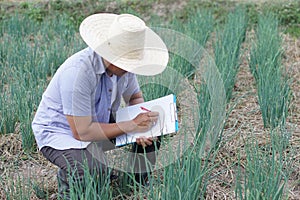 Asian man farmer is inspecting growth and diseases of plants in garden, wears hat and holds paper clipboard