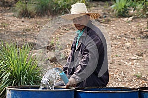 Asian man farmer is working, preparing water into blue buckets in garden. Concept, Solve problems lacking of water in agriculture