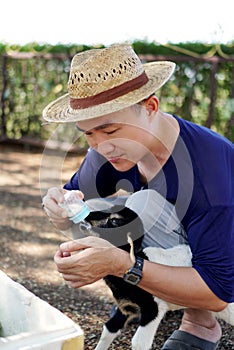 Asian man feeding milk bottles for sheep in the farm