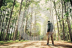 Asian man hiking in pine forest at sunny day time