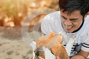 Asian man lovely cute playing with his puppy animal pet , Beagle are friendly dog with human