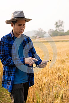 Asian man smart farmer using modern digital technology by laptop computer