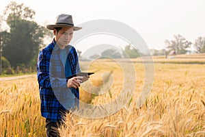 Asian man smart farmer using modern digital technology by laptop computer