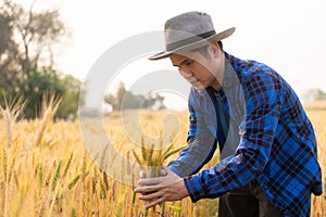 Asian man smart farmer using modern digital technology by laptop computer