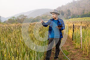 Asian man smart farmer using modern digital technology by laptop computer