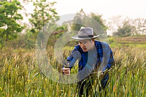 Asian man smart farmer using modern digital technology by laptop computer