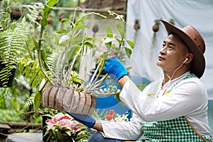 Asian man takes care of houseplants