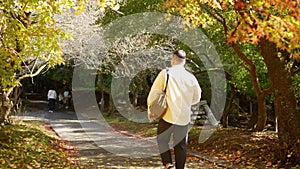 asian man walking relaxing on vacation in forest in kyoto japan along pathway surrounding with maple tree and ginkgo tree in oark