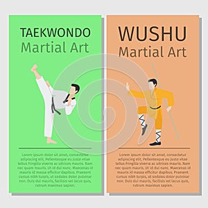 Asian martial arts. Taekwondo and Wushu