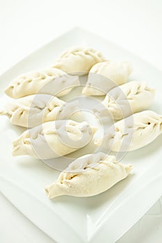 Asian meat dumplings on a white plate. Selective focus