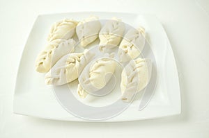 Asian meat dumplings on a white plate. Selective focus