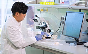 Asian medical doctor working in research lab. Science assistant making pharmaceutical experiments. Chemistry, medicine