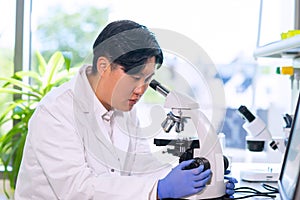 Asian medical doctor working in research lab. Science assistant making pharmaceutical experiments. Chemistry, medicine