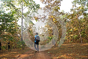 Asian men travel photograph nature. Travel relax. Walk on the path. Nature Study in the Jungle.