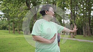 Asian middle age female practicing tai chi Chinese martial arts exercise at the green park with partner on Background