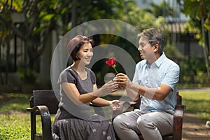 Asian middle-aged man gives a rose to his wife in valentine day