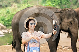 Asian middle aged woman tourist relaxing and take a photo with elephants in chiang Mai ,Thailand