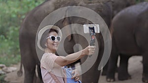 Asian middle aged woman tourist relaxing and take a photo with elephants in Chiang Mai ,Thailand