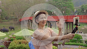 Asian middle aged woman tourist relaxing and take a photo with elephants in chiang Mai ,Thailand